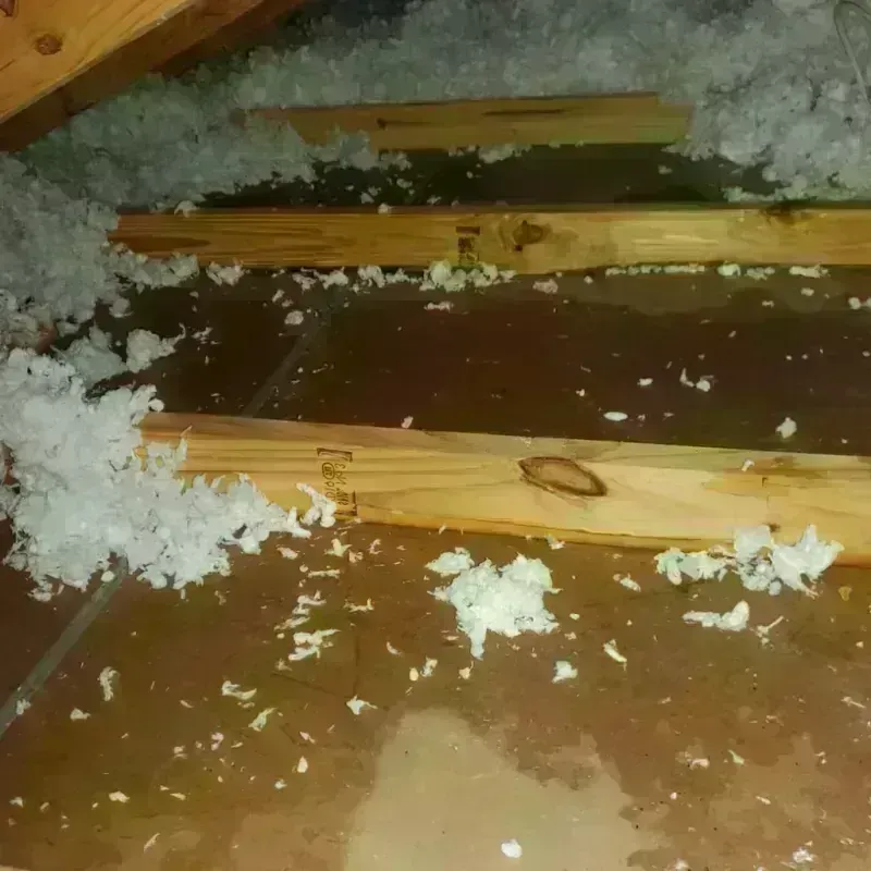 Attic Water Damage in Boothbay Harbor, ME